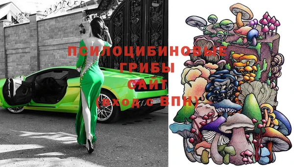 каннабис Абаза