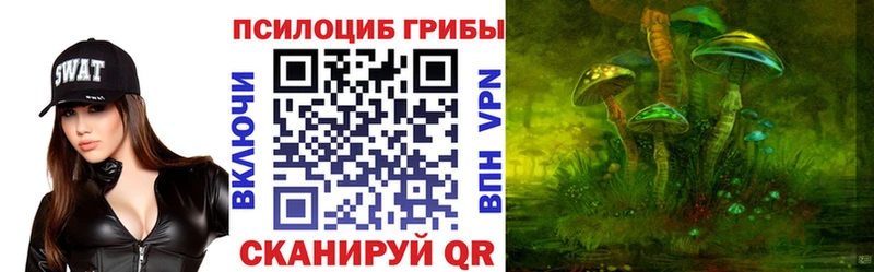Галлюциногенные грибы Psilocybe Миллерово
